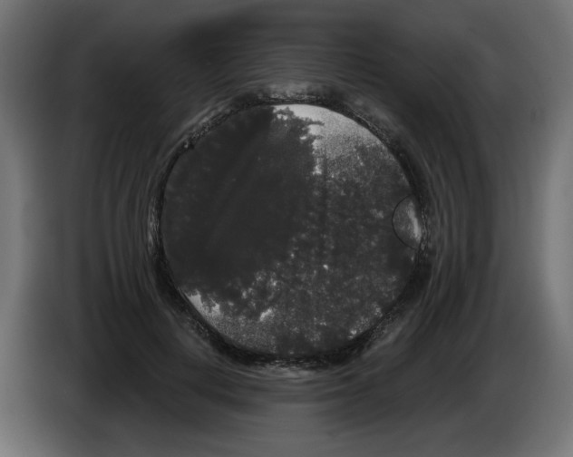 X0000084580648200703231844