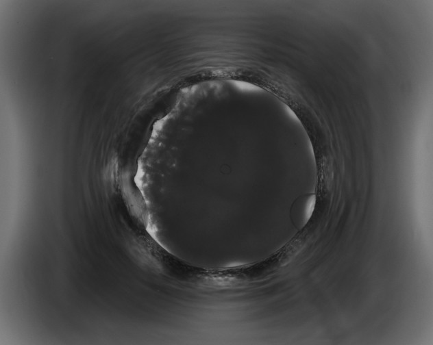 X0000084580650200703231844