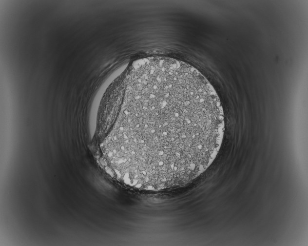 X0000084580652200703231844