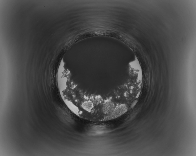 X0000084580653200703231844