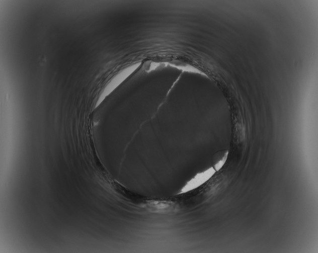 X0000084580654200703231844