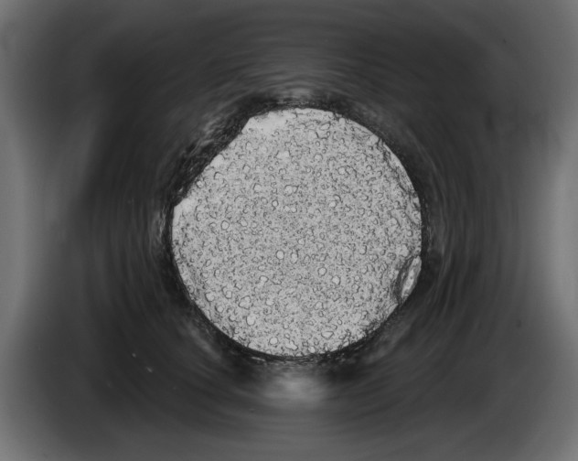 X0000084580660200703231844