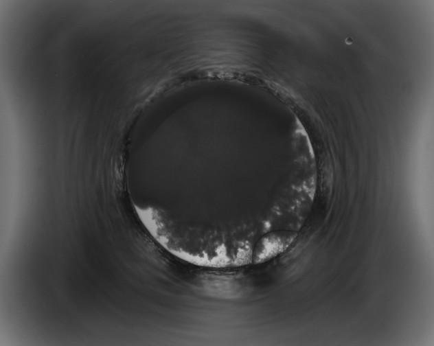 X0000084580661200703231844