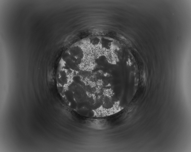 X0000084580663200703231844