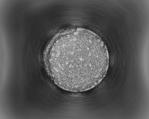 X0000084580666200703231844