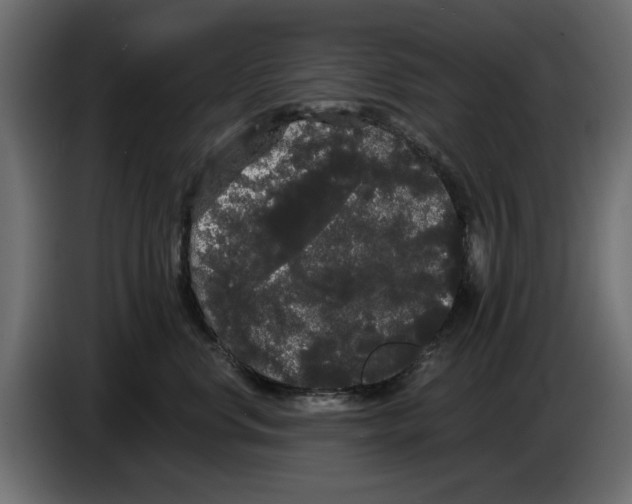 X0000084580668200703231844