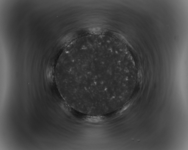 X0000084580671200703231844