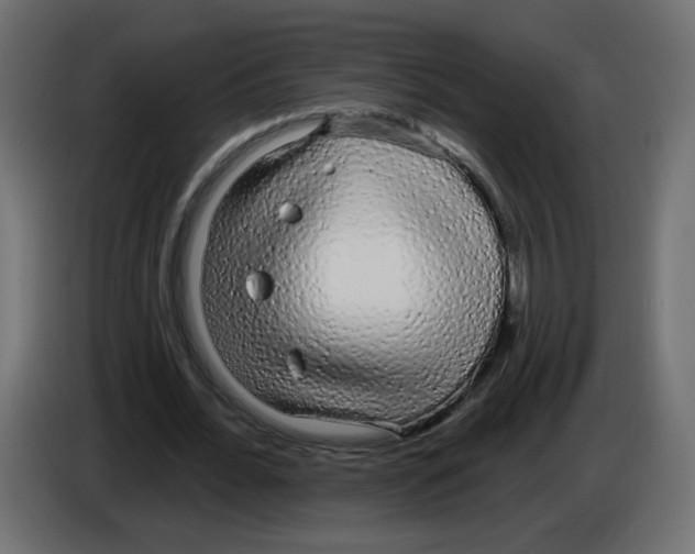 X0000084580676200703231844