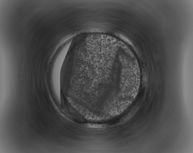 X0000084580677200703231844
