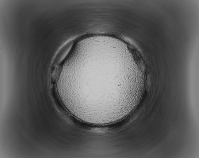 X0000084580680200703231844