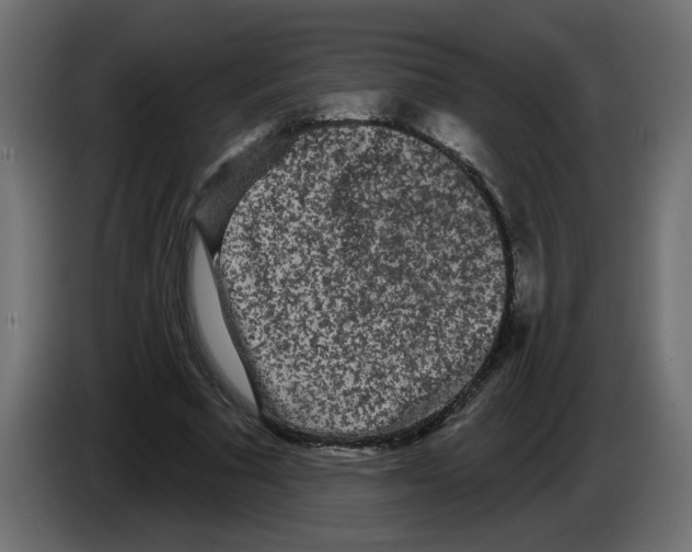 X0000084580681200703231844