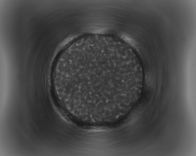 X0000084580682200703231844