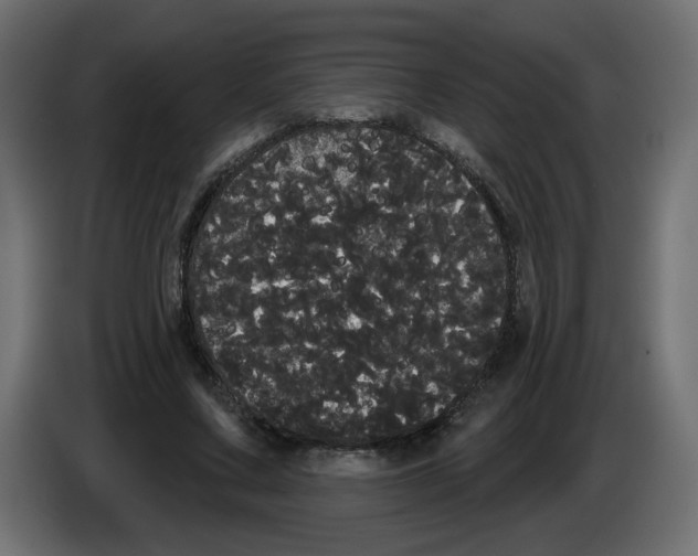 X0000084580683200703231844