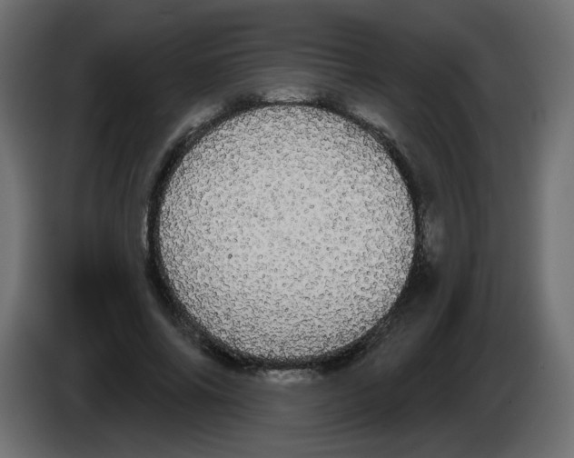 X0000084580686200703231844