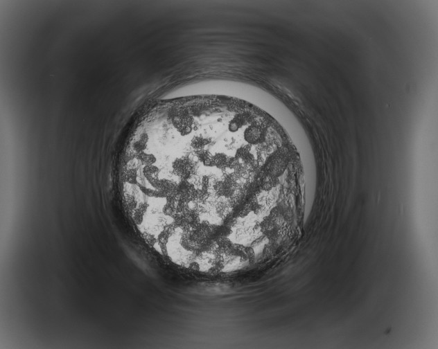 X0000084580687200703231844
