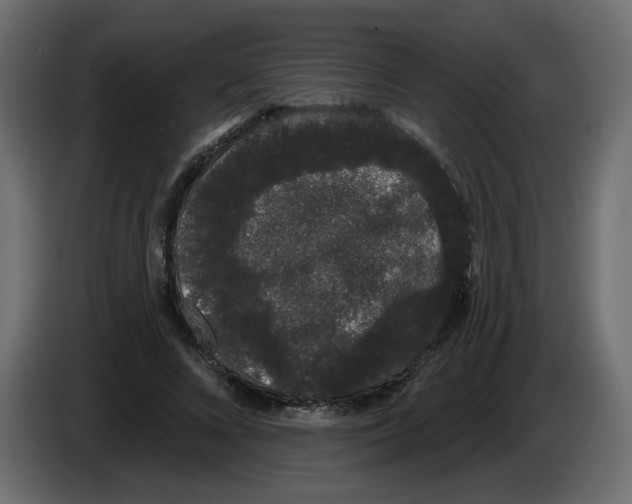 X0000084580688200703231844