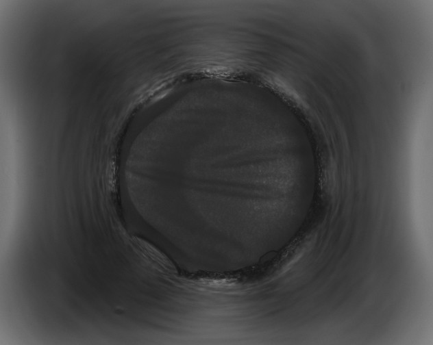 X0000084580689200703231844