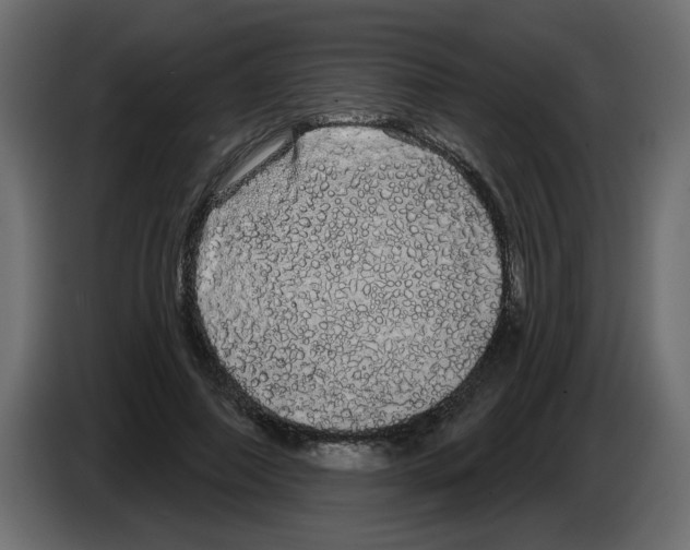 X0000084580690200703231844
