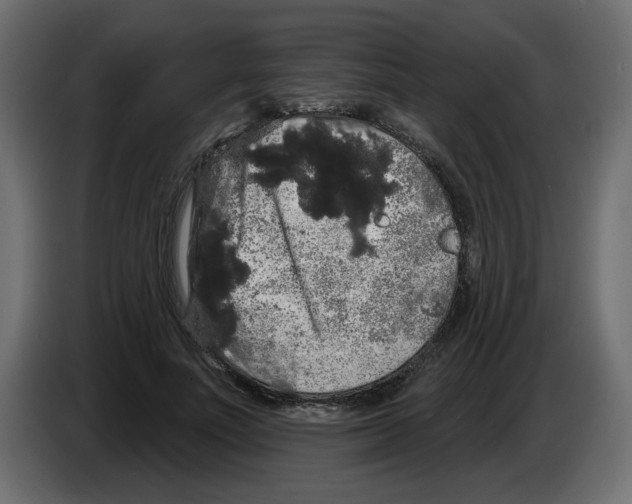 X0000084580691200703231844
