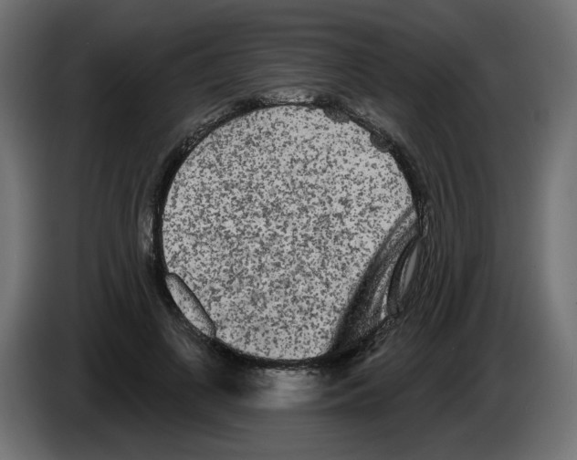 X0000084580693200703231844