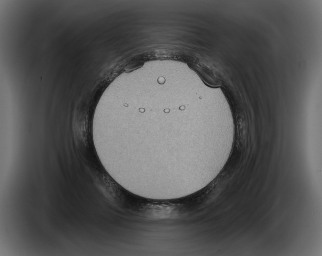 X0000084580698200703231843