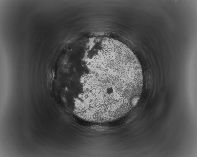 X0000084580699200703231843