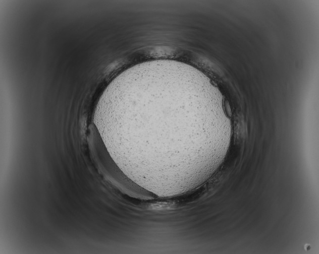 X0000084580700200703231843