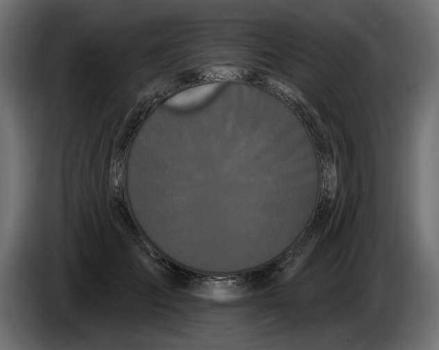 X0000084580701200703231843