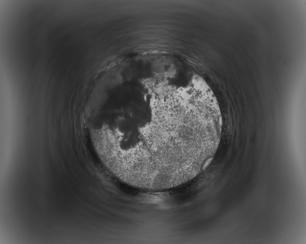 X0000084580711200703231843