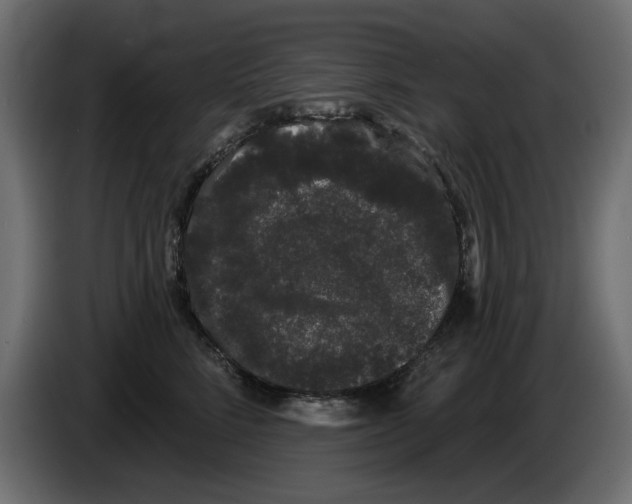 X0000084580712200703231843