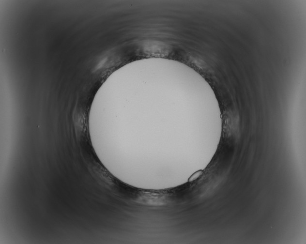 X0000084580713200703231843