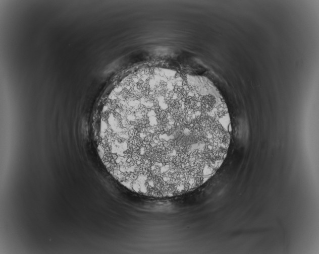 X0000084580715200703231843