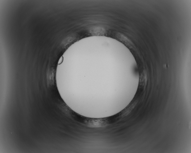 X0000084580717200703231843