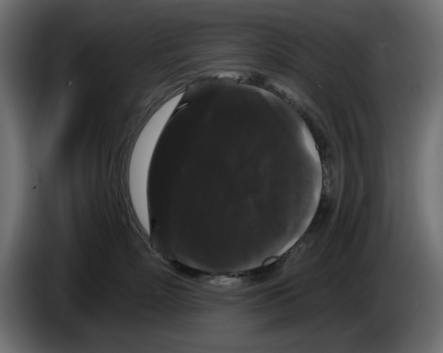 X0000084580718200703231843