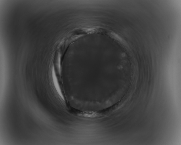 X0000084580720200703231843