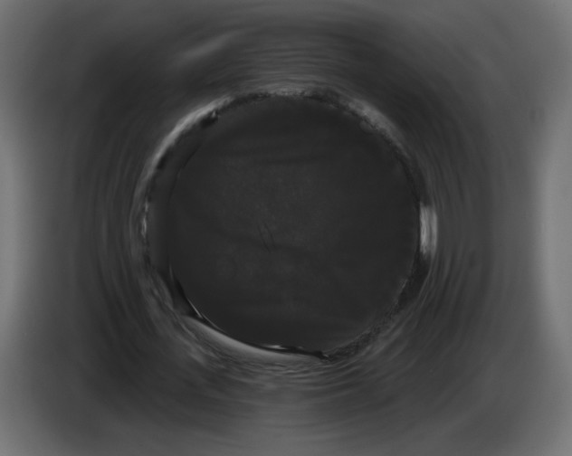 X0000084580723200703231842