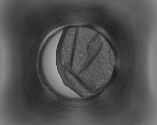 X0000084580724200703231842