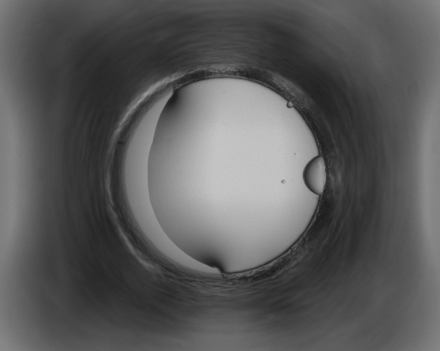 X0000084580728200703231843