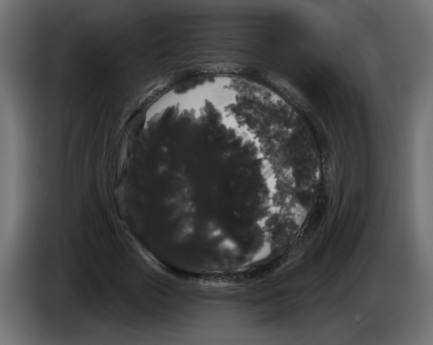X0000084580729200703231843