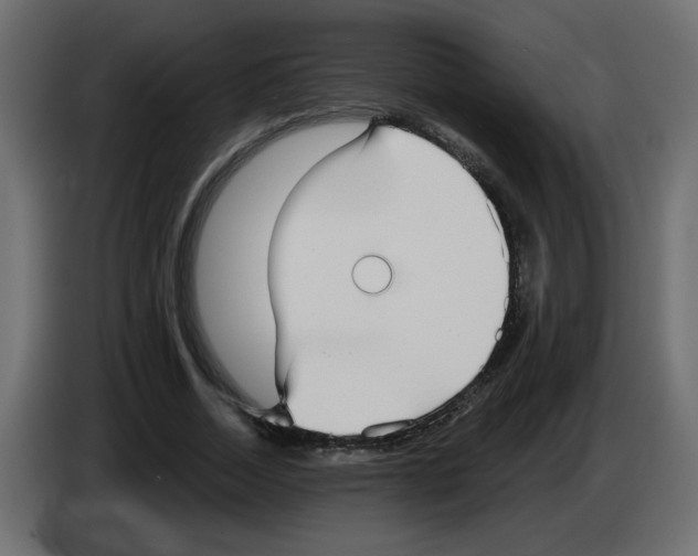 X0000084580730200703231843