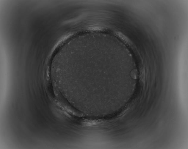 X0000084580731200703231843