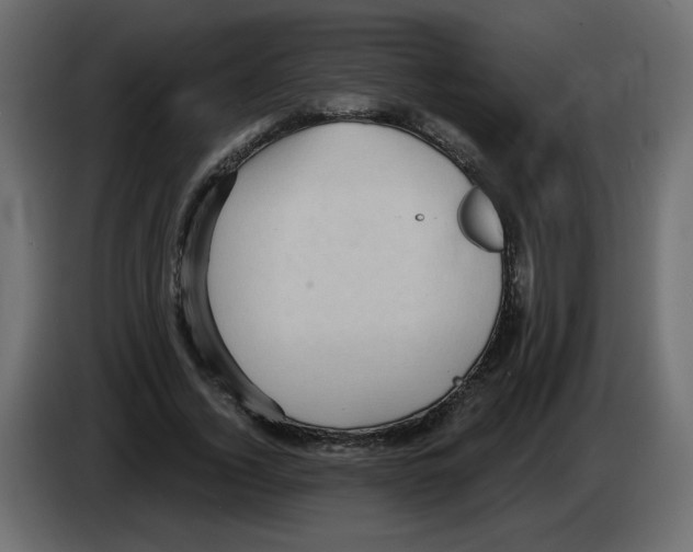 X0000084580732200703231843