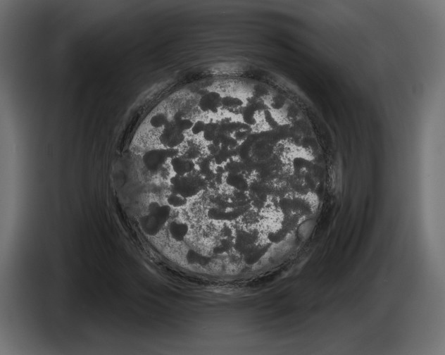 X0000084580733200703231843