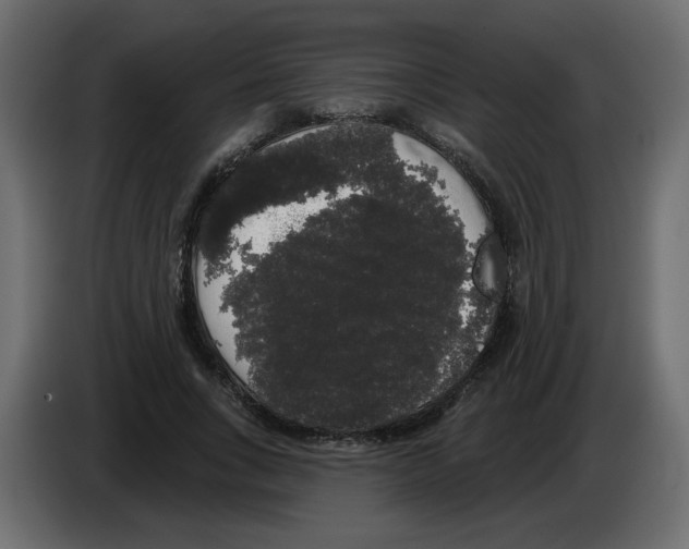 X0000084580735200703231843
