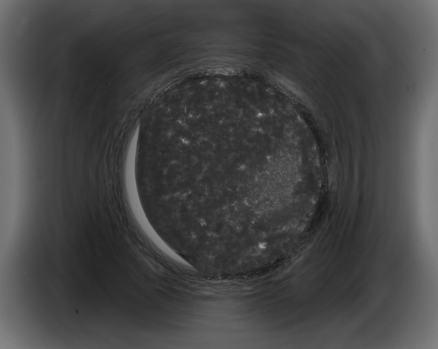 X0000084580737200703231843