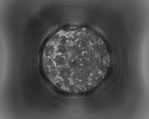 X0000084580738200703231843