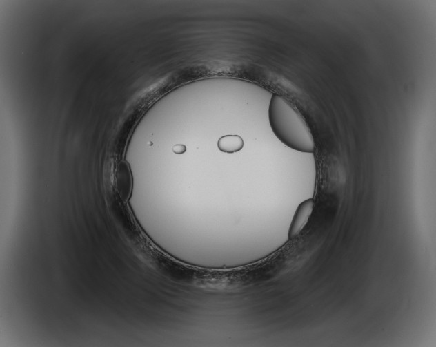 X0000084580740200703231843