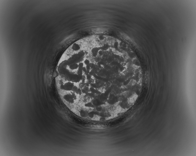 X0000084580741200703231843