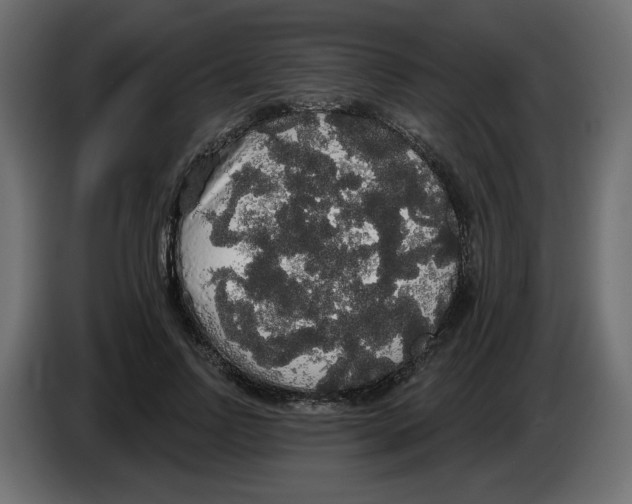 X0000084580742200703231843