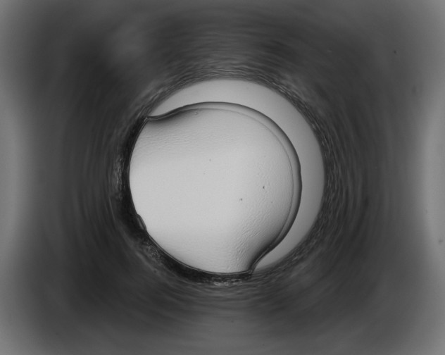 X0000084580744200703231843